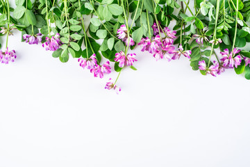 Beautiful purple cloudflower flowers on white background