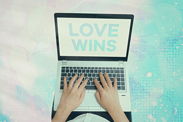 Text sign showing Love Wins. Business photo showcasing used to celebrate or commemorate the victory...