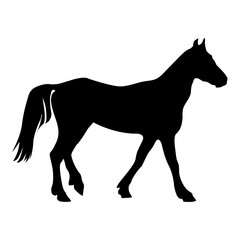 Isolated black contour silhouette of a horse. Separate on a white background. Flat design for greeting cards, scrapbooking and decoration.