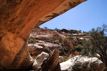 View from inside cave looking out into the Bears Ears wilderness area of Southern Utah.  