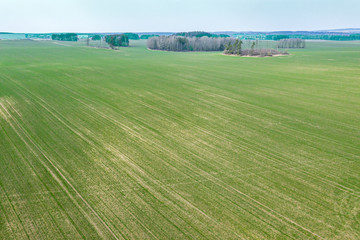 Obraz premium spring landscape in suburban area with green farmland fields on sky background. aerial drone photo