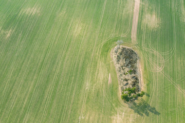 aerial top view of green field with trees. natural background