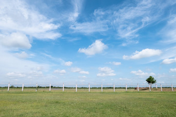 Fototapeta premium Outdoor background of grass field and fence area with blue sky and white clouds.
