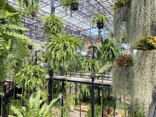 PATTAYA,THAILAND - January 28,2020 : The sky Garden at Nong Nooch tropical garden in Thailand.