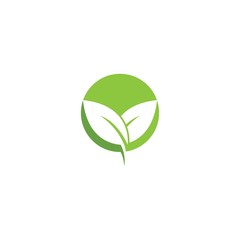 Green leaf logo
