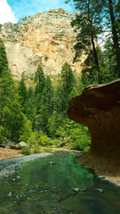 Sedona Creek West Fork Oak Creek