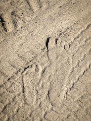 Father and Son Footprints in the Sand