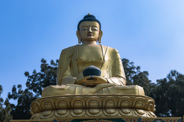 Fototapeta premium Golden statue of Buddha at Buddha Park, Swayambhunath, Kathmandu, Nepal