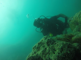 Scuba Dive Picture Underwater