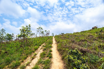 Fototapeta na wymiar Peaceful greenland, blue sky, and white cloud in the countryside of Hong Kong