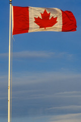 Maple Leaf Canadian Flag