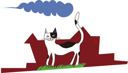 猫の散歩