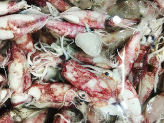 Obraz na płótnie Canvas Whiteraw squid seafood in fresh market