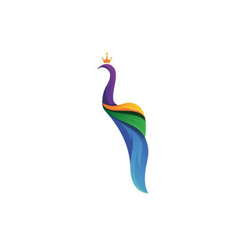Peacock Logo Template VOL 3