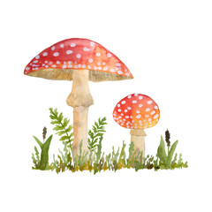 hand drawn watercolor dangerous scary poisonous mushrooms red Amanita muscaria. Wild fungus fungi from summer forest woodland in green grass berries keaves natural season perfect for halloween design