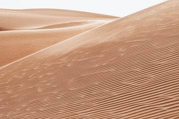 sand dunes in the desert