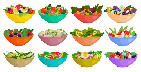 Vegetable salad isolated cartoon set icon. Cartoon vector set icon bowl lettuce. Vector illustration vegetable salad on white background.