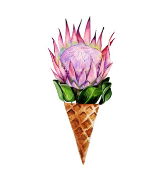 Watercolor hand painted composition consisting of protea flower in a waffle cone. Bright clip art is perfect for design of greeting cards, textile bags or t-shirts.