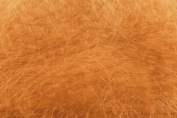 golden background scratch blank texture / abstract metallic background old vintage wall