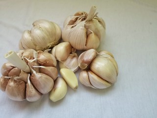 garlic on the table