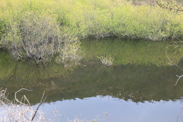 호수가 보이는 아름다운 봄풍경
