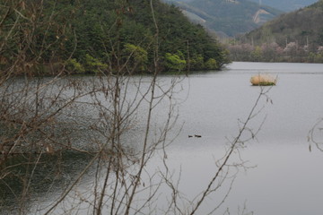 호수가 보이는 아름다운 봄풍경