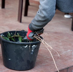 Fototapety na wymiar - Fototapeta24.pl