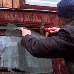  man arranging anti insects mesh