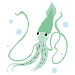 シンプルなイカのイラスト