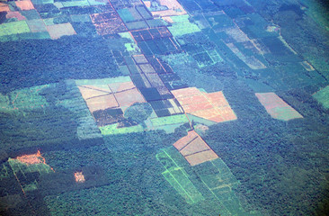 Aerial view of rainforest deforestation in Argentina and Brazil