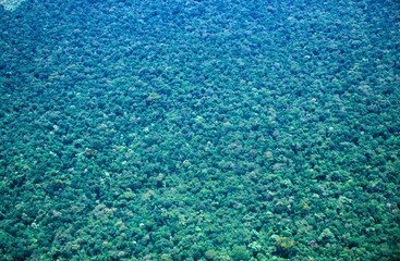 Aerial view of rainforest in Argentina and Brazil