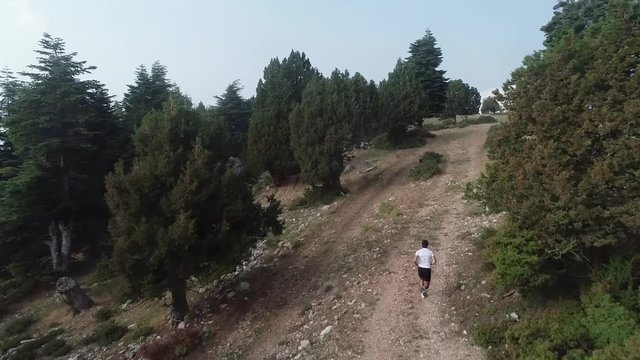 Aerial clip of male athlete running on the high mountain trail of the rocky forest in Lebanon. tracking drone shot of an adult running in the forest.