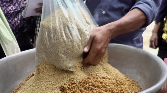 Group Of Farmers In Kuala Lumpur Learning How To Make Chicken Feeds.-closeup shot