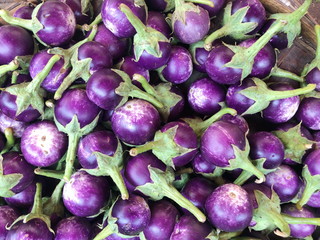 Close-up view group of fresh organic raw ripe Eggplant (or Brinjal) on display at Vegetable Stall of Local Market