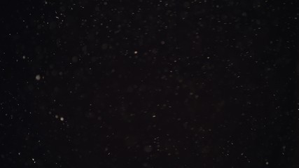 4k Natural Dust Organic Floating particles on black background. Dust in air atmosphere for your projects! Just drop it over your footage and use blending (screen) mode
