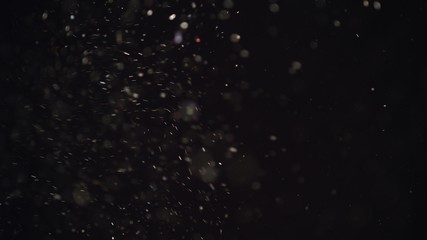 Obraz premium 4k Natural Dust Organic Floating particles on black background. Dust in air atmosphere for your projects! Just drop it over your footage and use blending (screen) mode
