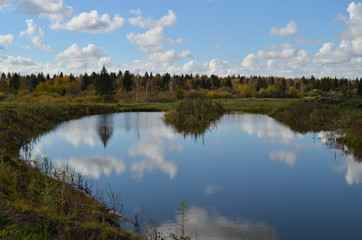 reflection of trees in the lake