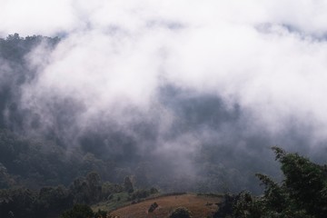 misty morning on the mountains