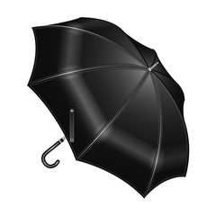 Umbrella vector icon.Realistic vector icon isolated on white background umbrella.