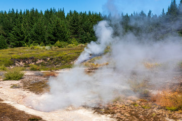 Fototapeta na wymiar Crater of the Moon, hot springs in New Zealand
