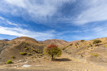 Unterwegs mit dem Auto in Chile.