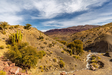 Unterwegs mit dem Auto in Chile.
