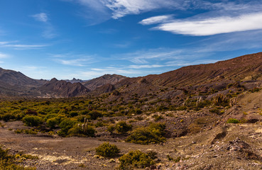 Unterwegs mit dem Auto in Chile.