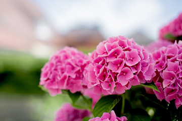 Details of the small german towns