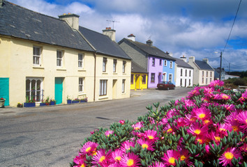 Fototapeta na wymiar Beautiful flowers And Eyeries Village, West Cork, Ireland