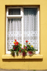 Fototapeta na wymiar Yellow cottage window with flowers on sill, Eyeries Village, West Cork, Ireland