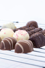 Selection of chocolates on a metal cooling rack.  On a white wood background