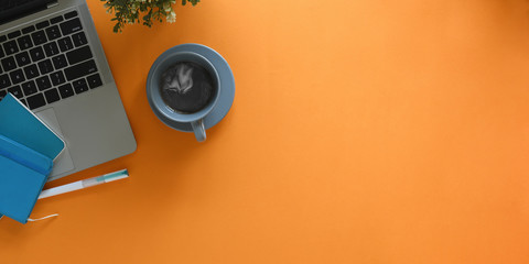 Top view image of computer laptop putting on colorful working desk surrounded by coffee cup, note, pen and potted plant. Orderly workplace concept.