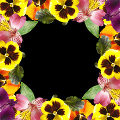 Beautiful floral pattern of tulips, alstroemeria and pansies. Isolated