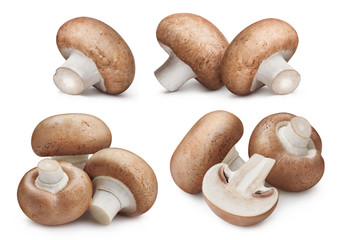 Collection of delicious champignon mushrooms, isolated on white background